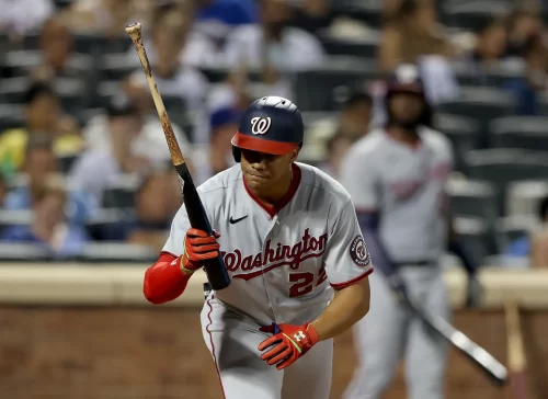 Juan Soto Biography: Wikipedia, Net Worth, Age, Height, Weight, Ethnicity, Nationality